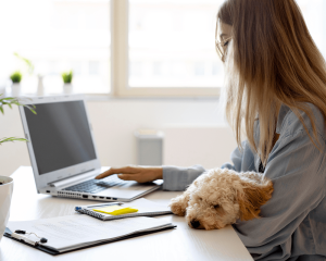 picture-carouse-homeoffice-a1-min